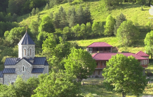 სოფელ ტყემლოვანას ტერიტორია საპატრიარქოს გადასცეს