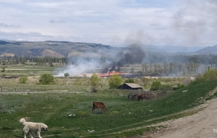 ქარელის სოფელ ღვლევის ნაკვეთებში მეთვალყურეობის ქვეშ  ხმელ ფოთლებს წვავენ