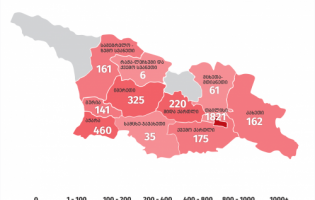 შიდა ქართლში კორონავირუსის 220 ახალი შემთხვევა დადასტურდა - 6 იანვარი