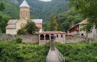 ქვათახევის ეკლესიის ეზოში 300-წლის ასაკის ბზის ხე ხმება (video)