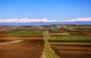 მიწის მესაკუთრეები 1 ჰა მიწაზე სუბსიდიის სახით 300 ლარს მიიღებენ