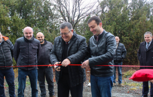 არჩევნების წინ გახსნილი ხილის ქარხანა საღოლაშენში დაკეტილია