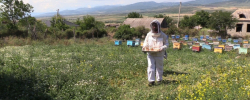 26 წლის ტარიელ მიდელაშვილი, კასპში, ფუტკრის რძისგან სამკურნალო
პროდუქტებს ამზადებს.
